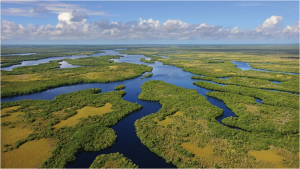 everglades