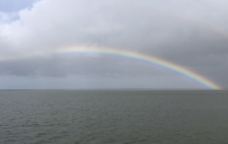 Silver Lining